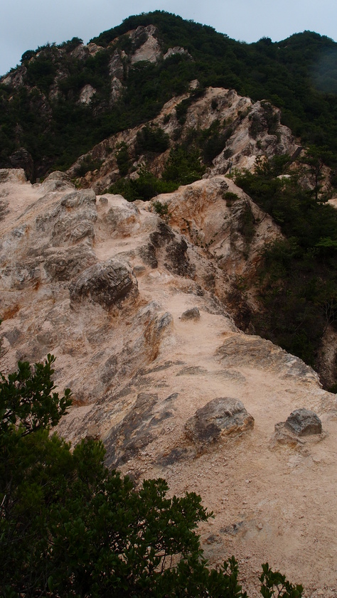 e0024081_143333.jpg
