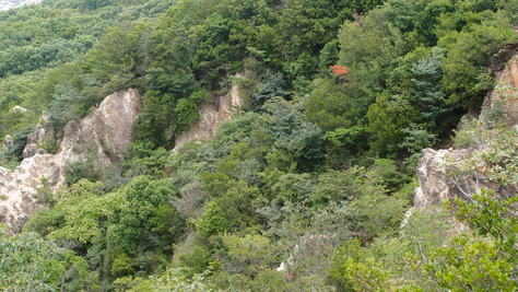 e0024081_143414.jpg