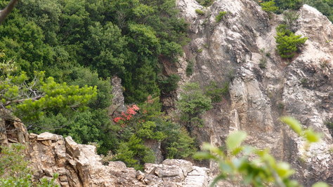 e0024081_1434639.jpg