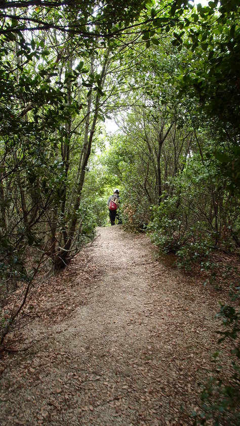 e0024081_1442039.jpg