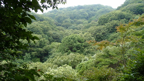 e0024081_144223.jpg