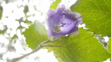 e0024081_144756.jpg