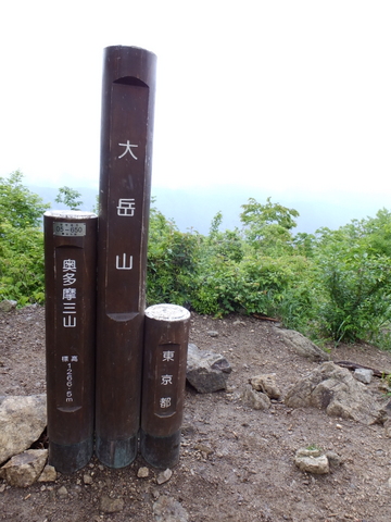 a0043982_1704166.jpg