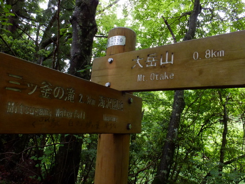a0043982_1711233.jpg