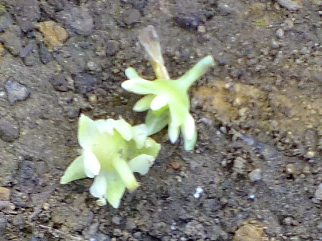 e0145782_1981770.jpg