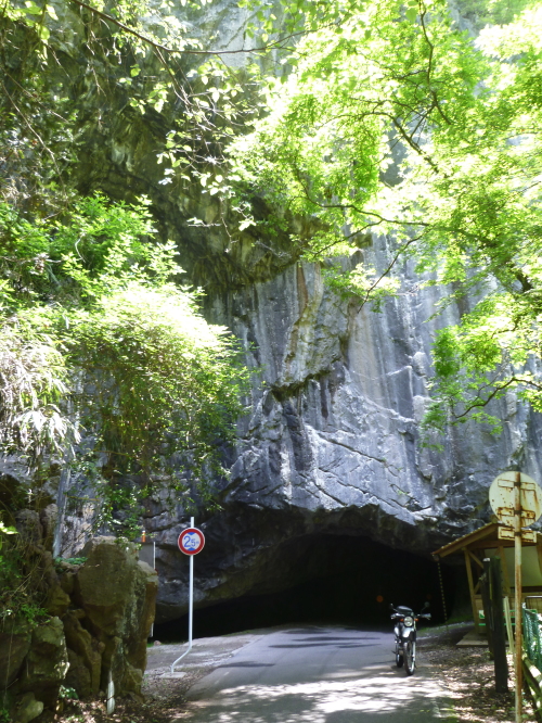 d0179983_1116086.jpg