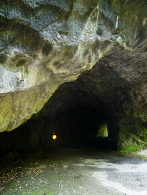 d0179983_11164114.jpg