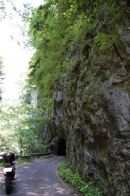 d0179983_11165294.jpg