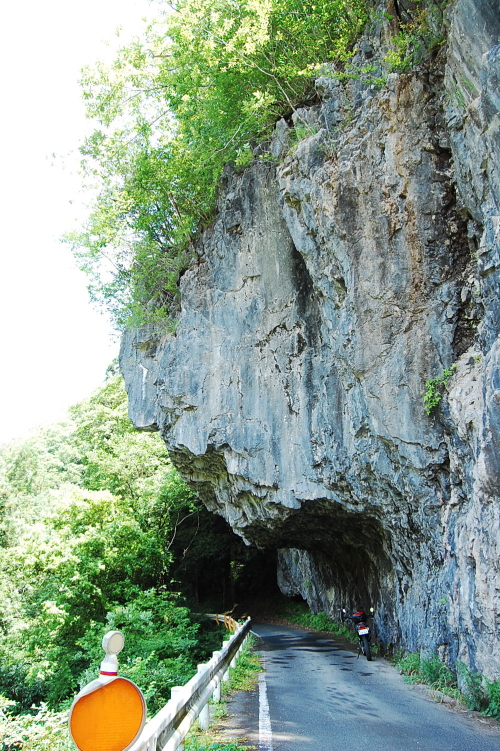 d0179983_1118188.jpg