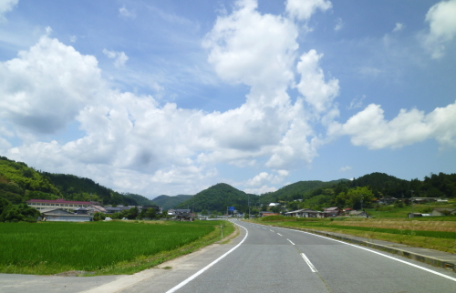 d0179983_1118968.jpg