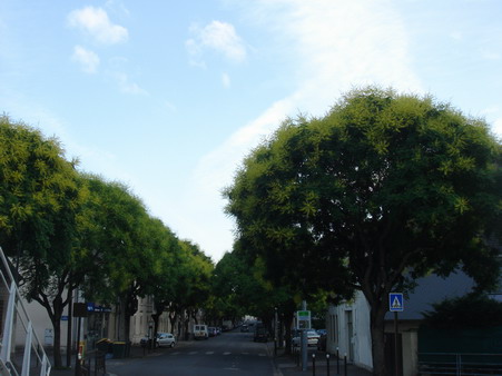 a0247585_7185051.jpg
