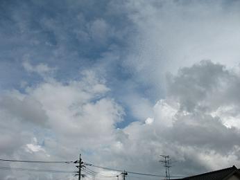 e0130185_16142138.jpg