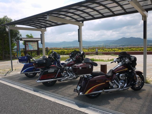 b0190092_204521100.jpg