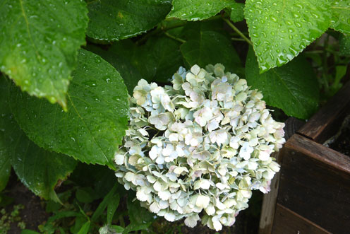 f0222692_16445972.jpg