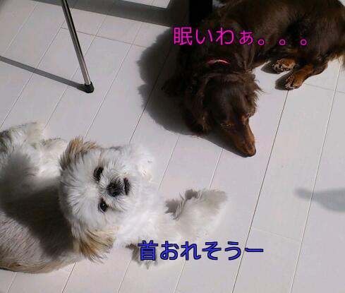 b0237894_204183.png