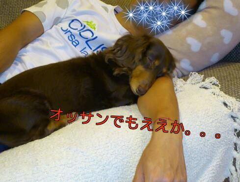 b0237894_2053162.png