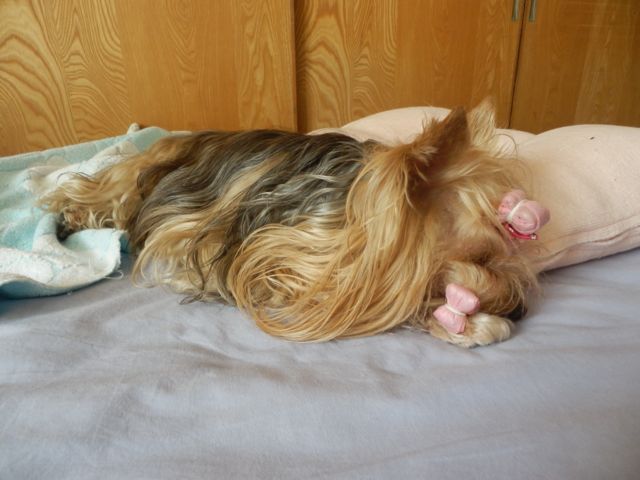 f0130894_21282218.jpg