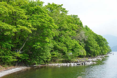 d0141800_132019.jpg