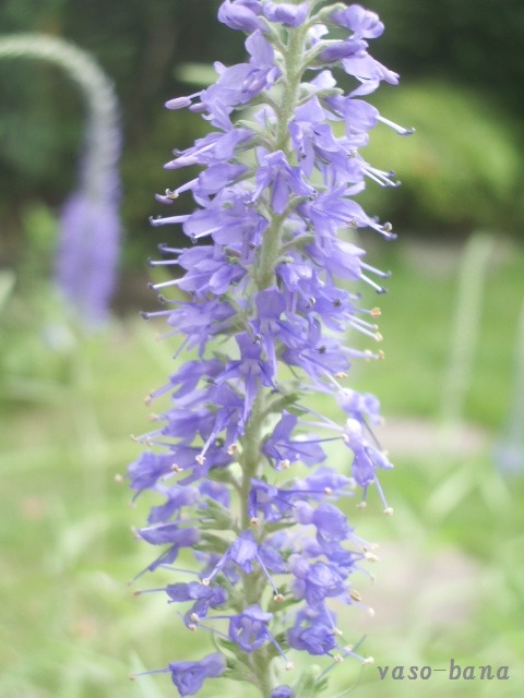 e0025300_13223571.jpg
