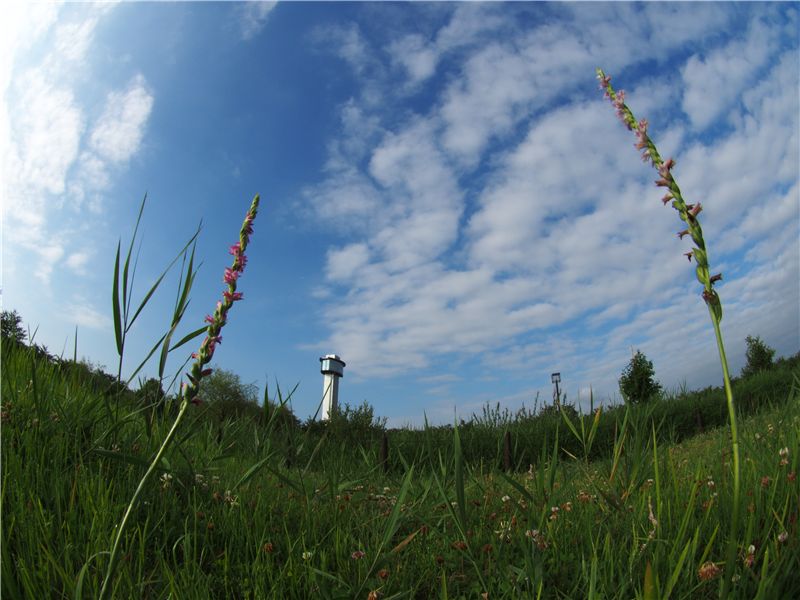f0224100_1128751.jpg