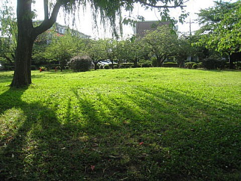 d0046702_16543893.jpg