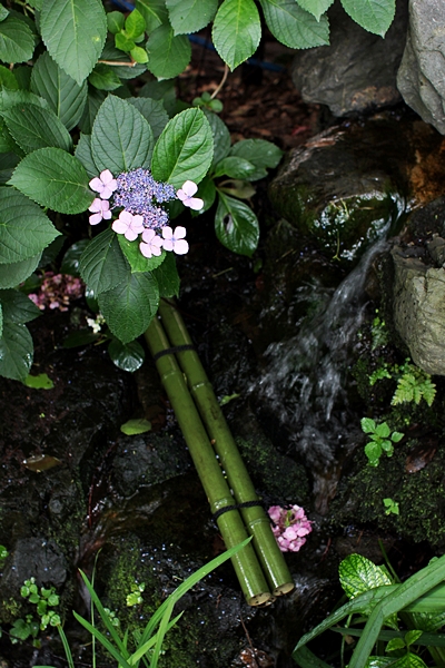 c0228404_222929.jpg