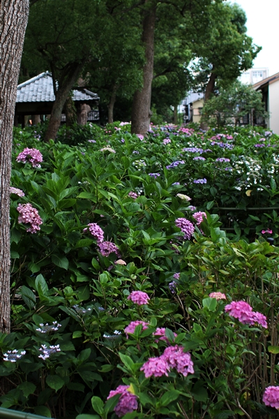 c0228404_223356.jpg