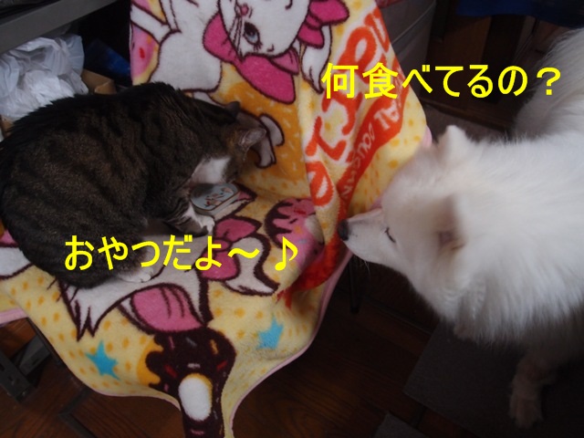 e0018604_176159.jpg