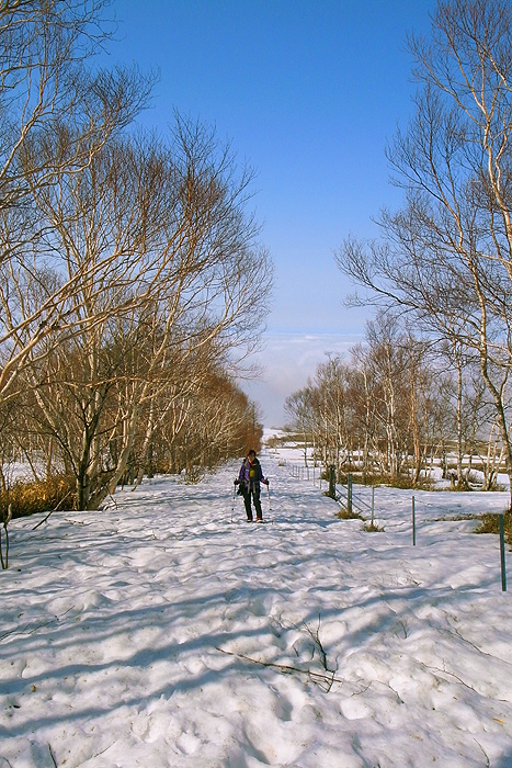 a0148606_2052297.jpg