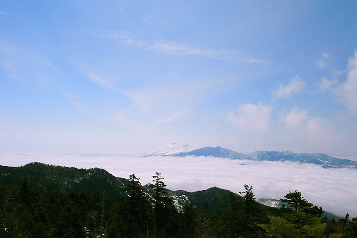 a0148606_2058193.jpg