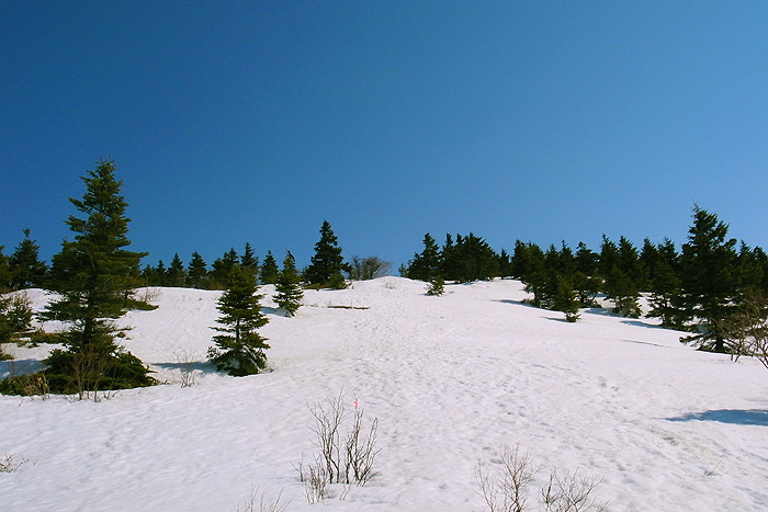 a0148606_2145138.jpg