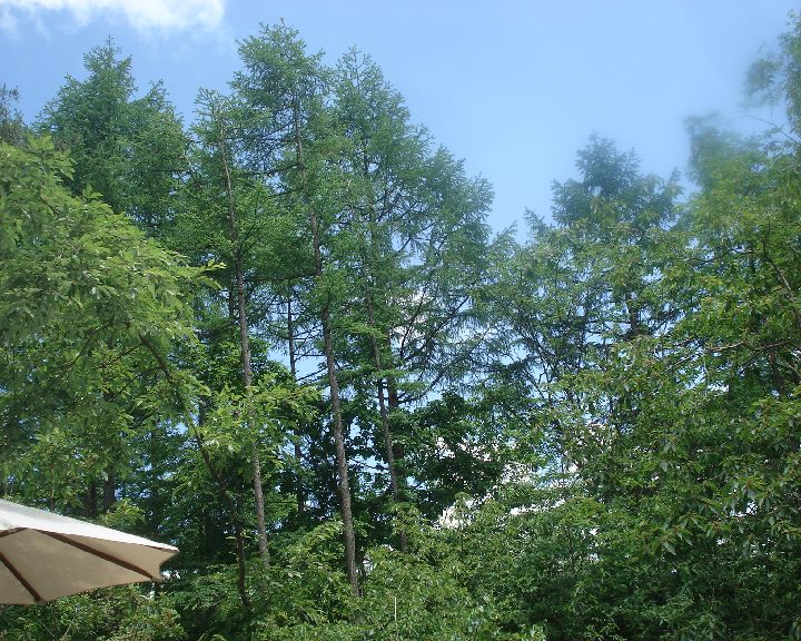 b0148106_6505052.jpg