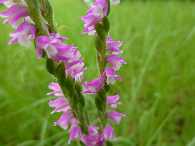 d0037110_20235183.jpg