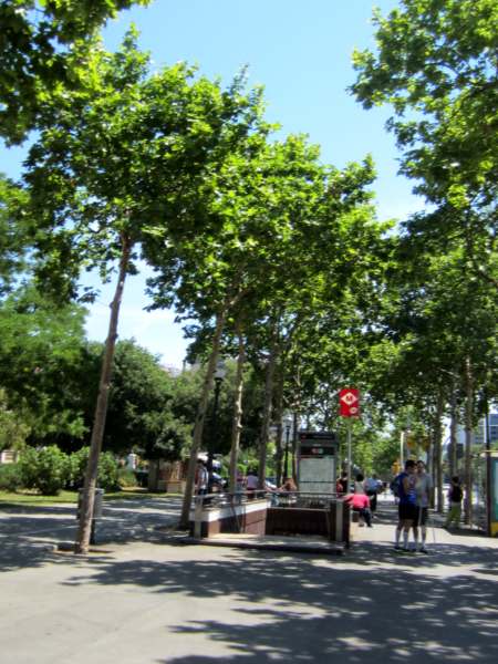 b0064411_21174356.jpg