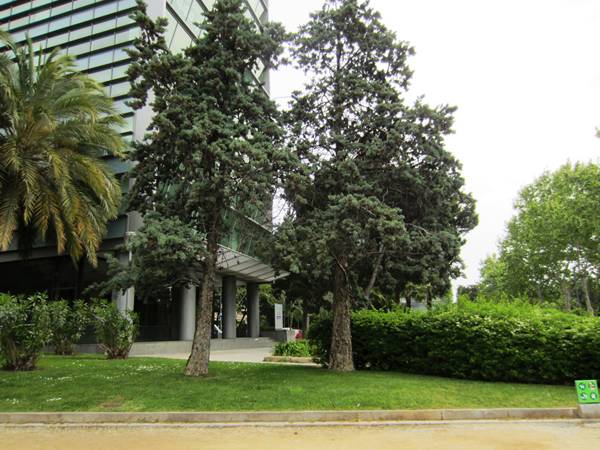 b0064411_21195276.jpg