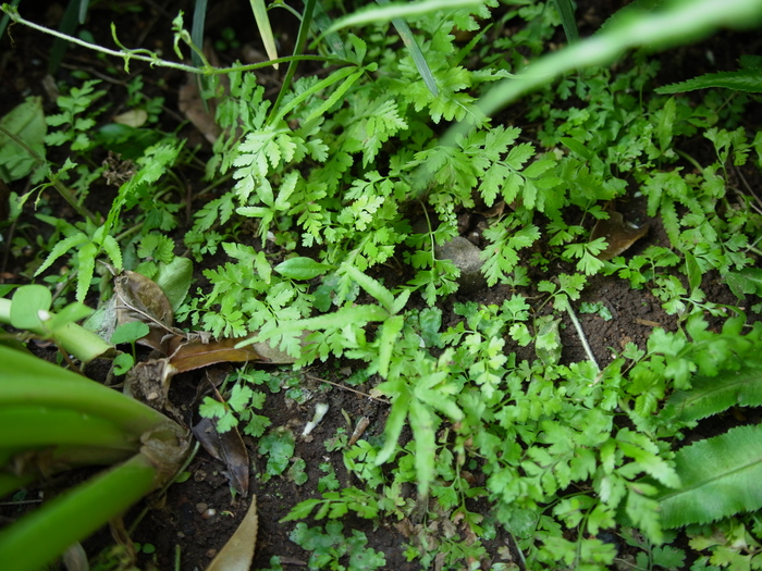 e0276411_0154599.jpg