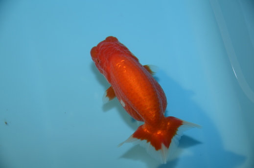 e0075412_11105723.jpg