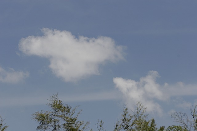 a0098513_18355910.jpg