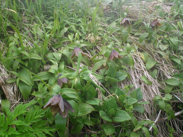 f0118332_21405159.jpg