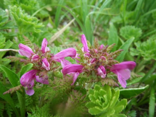 f0118332_2221614.jpg
