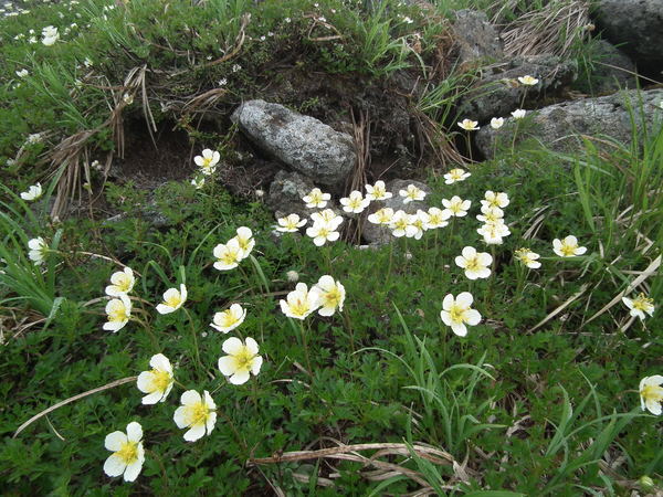 f0118332_2252396.jpg