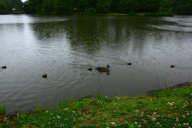 a0205834_22424458.jpg