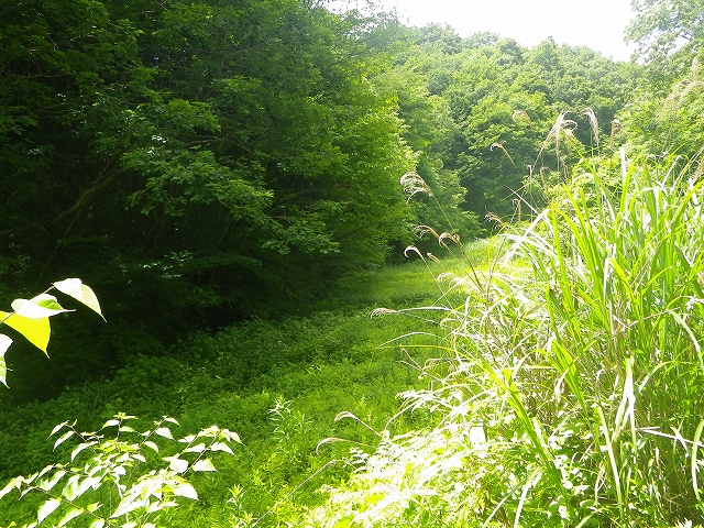 b0099538_924364.jpg