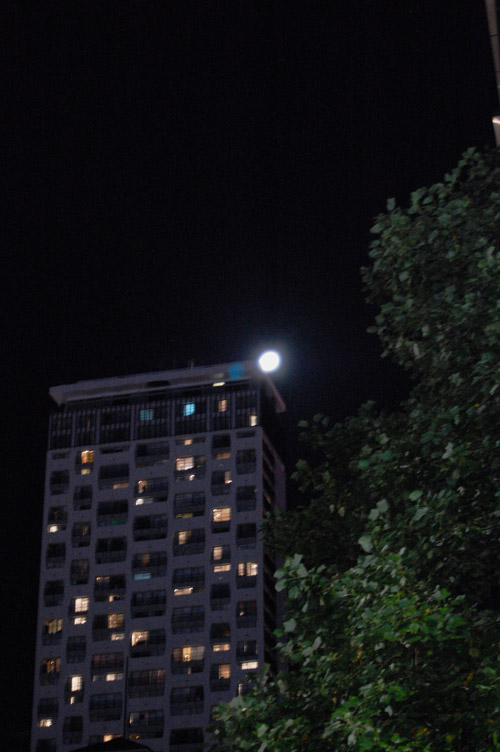 a0023740_16342541.jpg