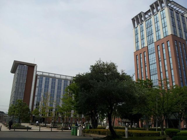 d0075741_1463918.jpg