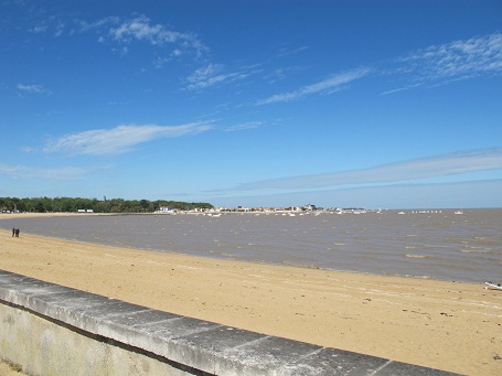 d0167041_1685514.jpg