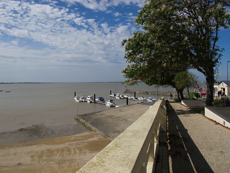 d0167041_1692396.jpg