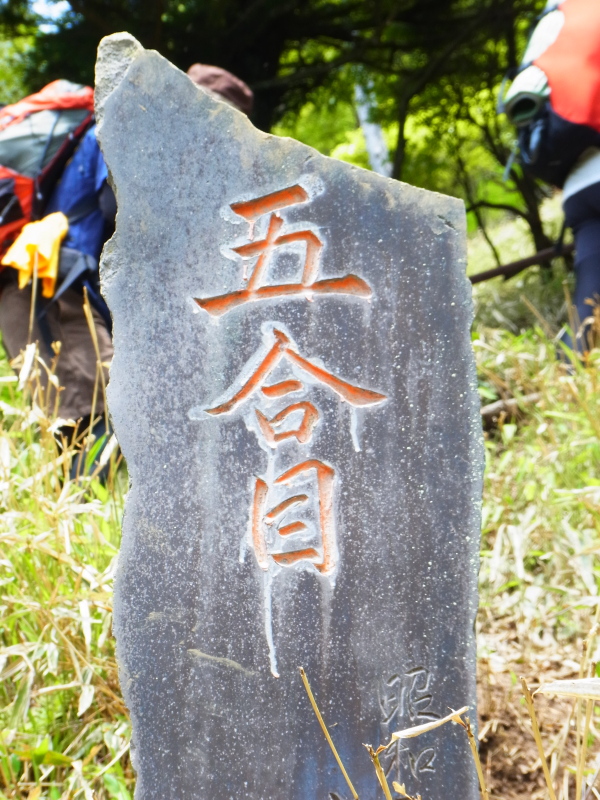 b0190242_10125551.jpg