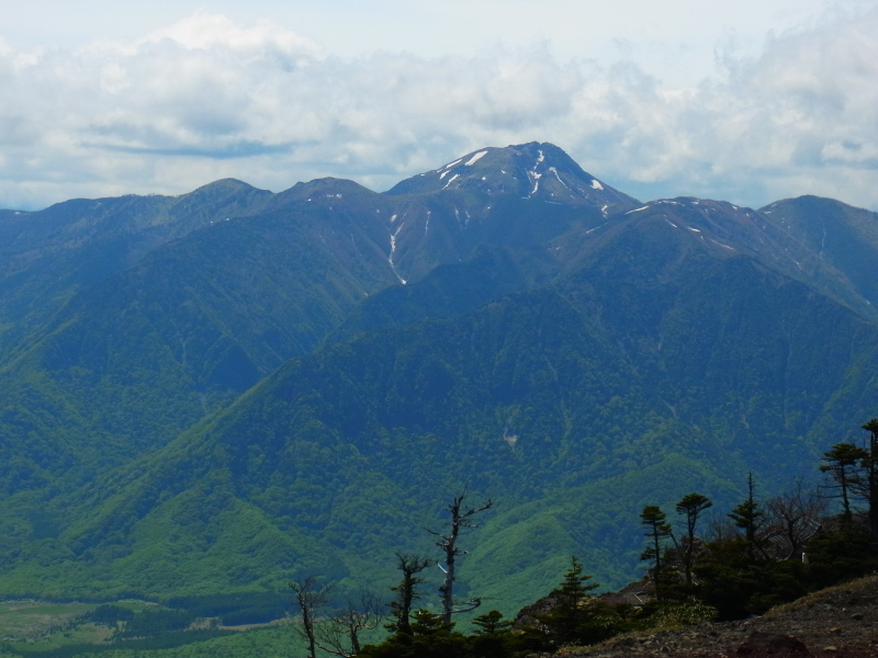 b0190242_10191928.jpg
