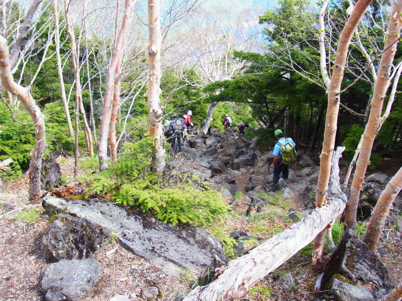 b0190242_10253058.jpg